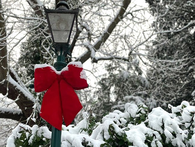 BOOKING YOUR FESTIVE EVENT